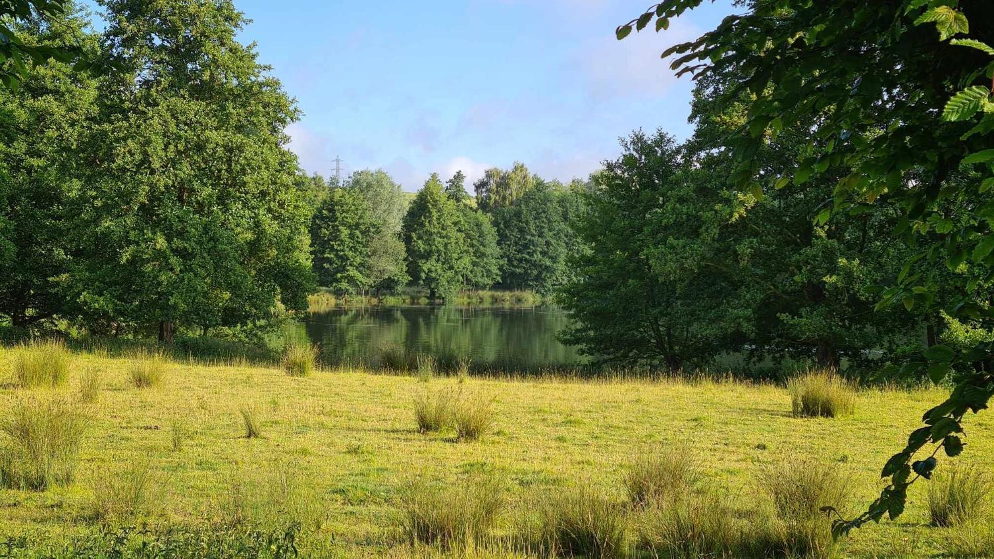 Les Gites De La Renardiere Gueures Buitenkant foto